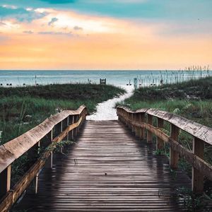 Meet your Posher, Paulette